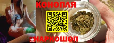Альфа ПВП Гусев