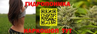 скорость Гусь-Хрустальный