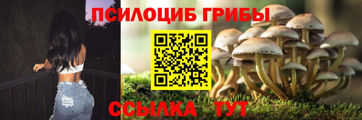 Галлюциногенные грибы GOLDEN TEACHER Нижнекамск